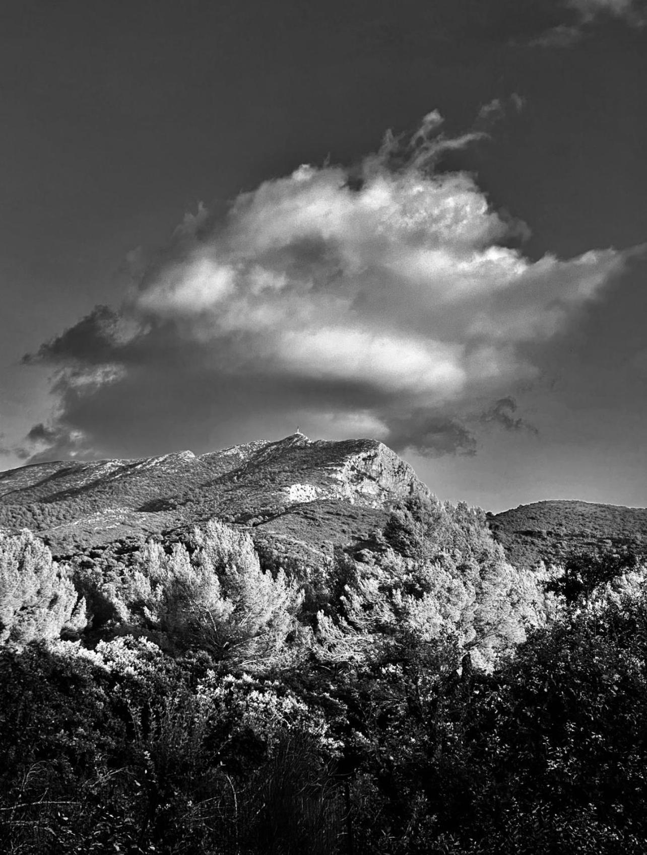 La Glycine Saint-Marc-Jaumegarde
