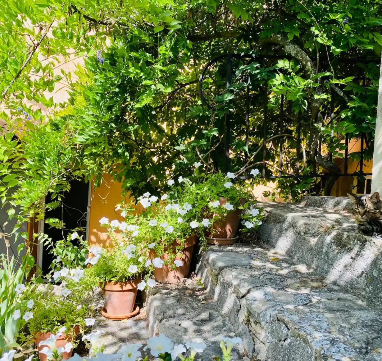 La Glycine Appartement