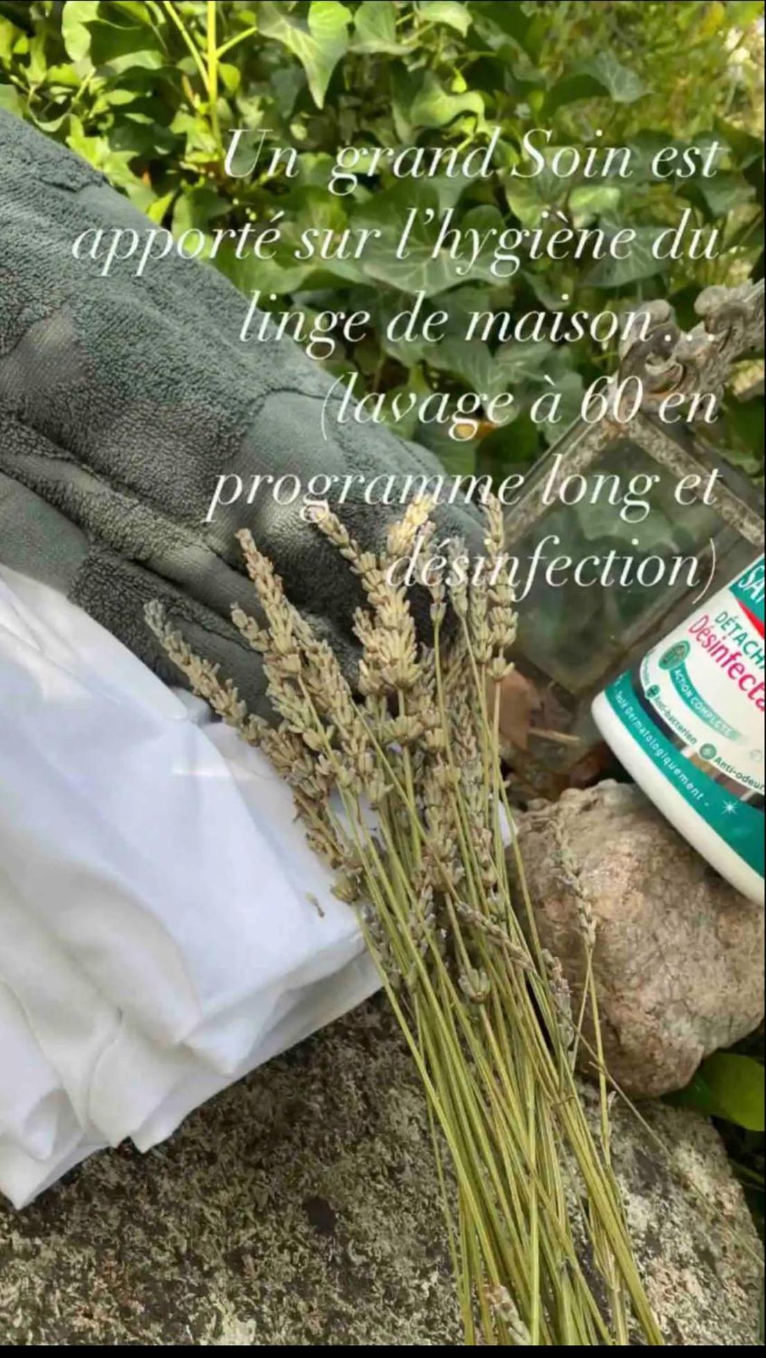 Appartement La Glycine